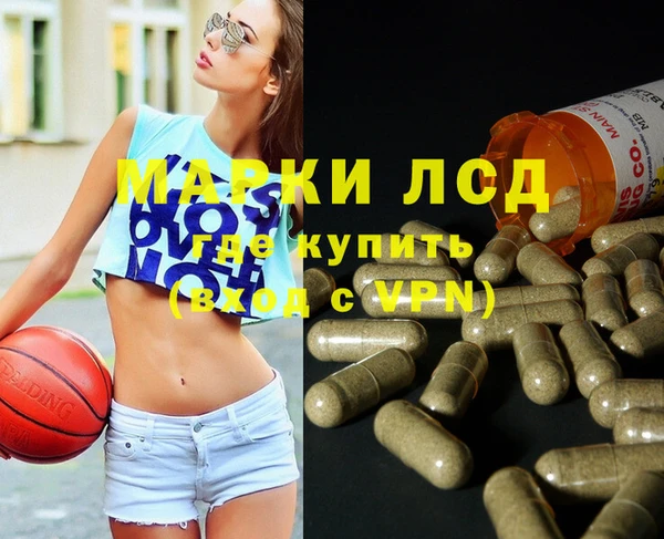 стаф Козельск