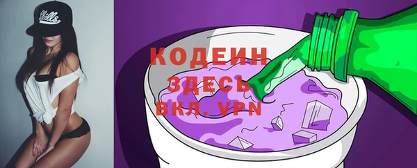 стаф Козельск