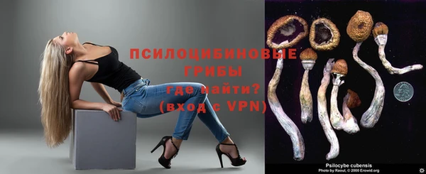 стаф Козельск