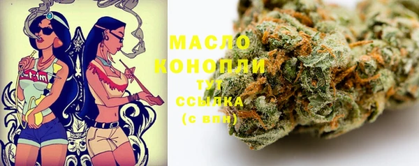 стаф Козельск