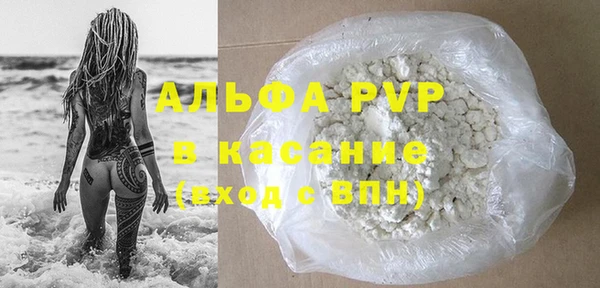 стаф Козельск
