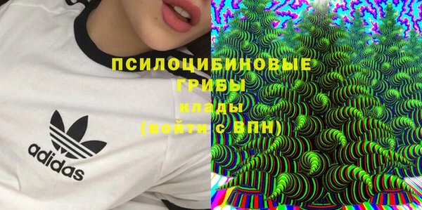стаф Козельск